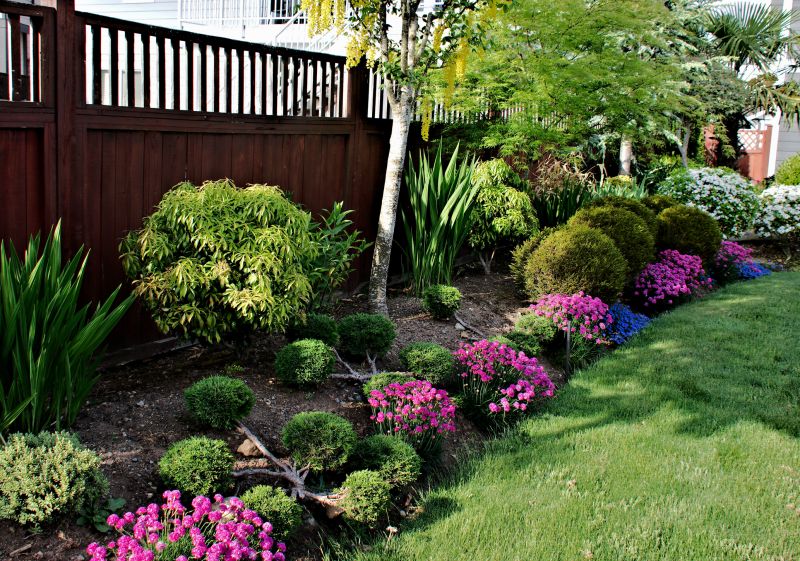 Boxwood Planting in Honolulu, HI