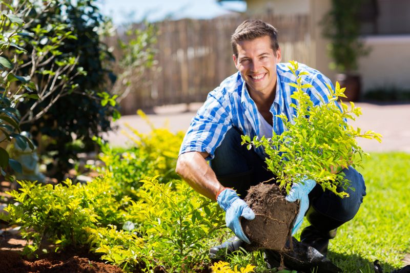 Hedge Installation in Ventura County, CA