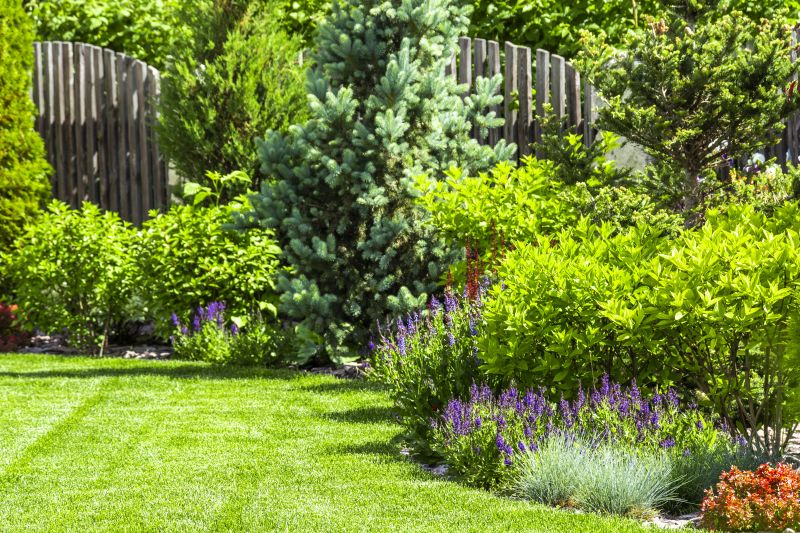 Landscaping Modification in Honolulu, HI